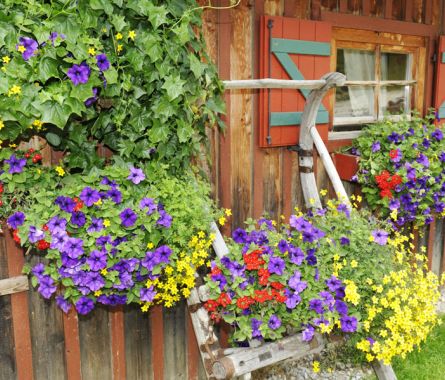 Sommer am Katschberg